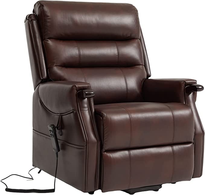 Irene HouseDual Motor Power Lift Recliner